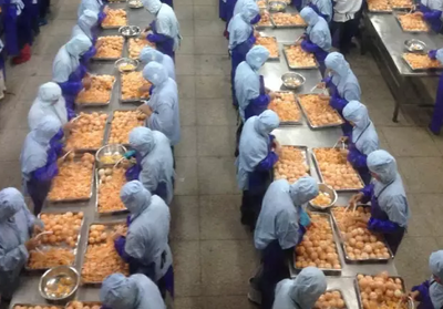 罐頭食品 保鮮藝術與生活智慧的完美融合